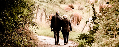 Retirement planning consultation scene for Alpha Strategies Ltd.